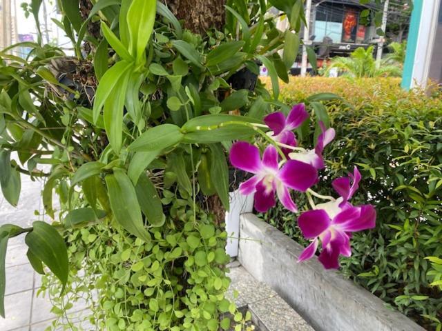 曼谷Vivi Avenue Thonglor公寓 外观 照片